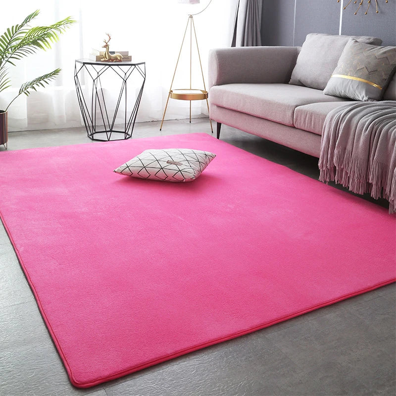 Large Soft Nonslip Living Room Rug.