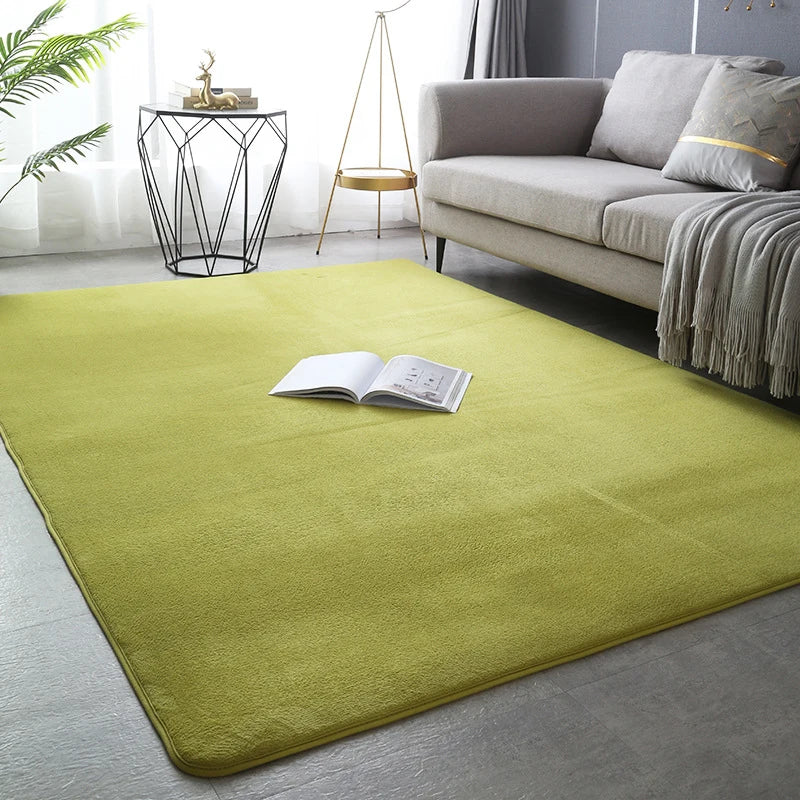 Large Soft Nonslip Living Room Rug.