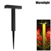 Warmlight