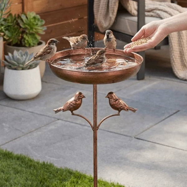 Rustproof Iron Bird Bath & Feeder | 5-Claw Stake | Bronze
