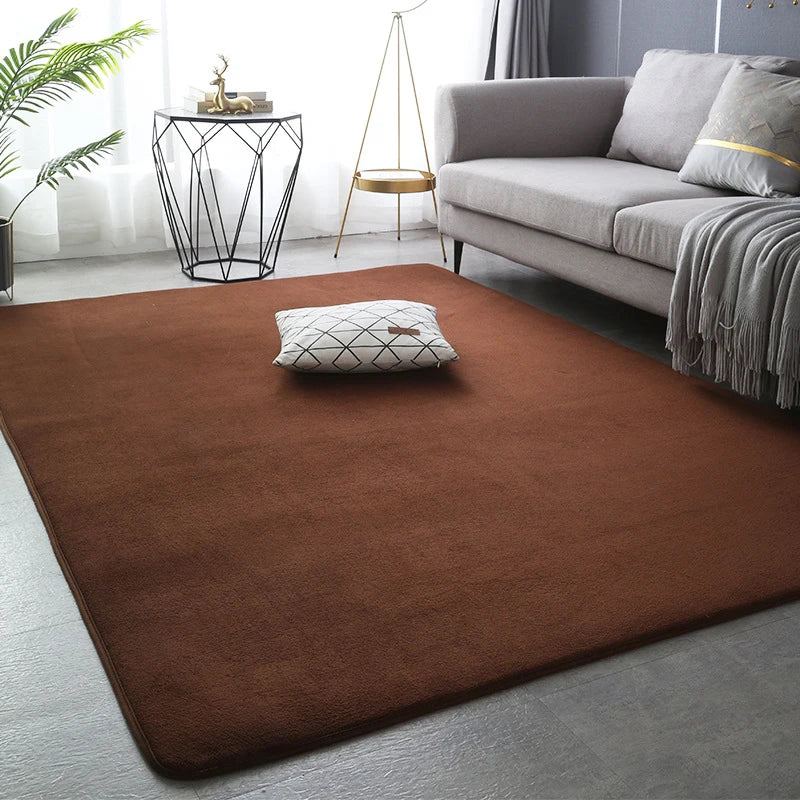 Large Soft Nonslip Living Room Rug.