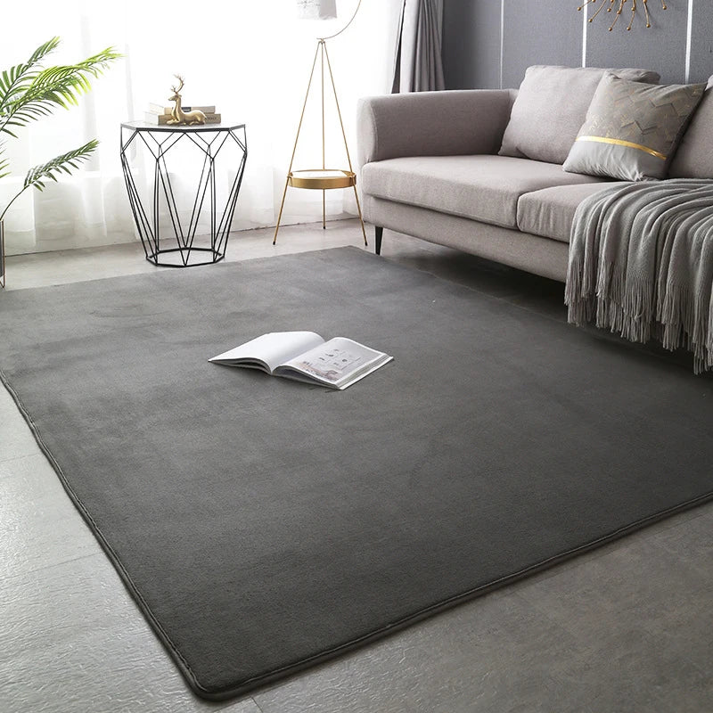 Large Soft Nonslip Living Room Rug.