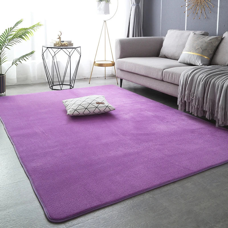 Large Soft Nonslip Living Room Rug.