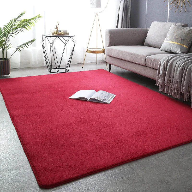 Large Soft Nonslip Living Room Rug.